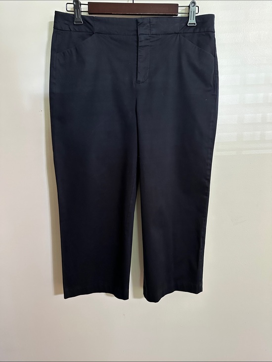 Blue Earth Pants - Blue Earth Women's Black Cotton Stretch Cropped Straight-Leg Pants